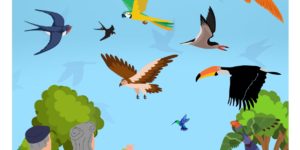 Sortie famille parc aux oiseaux